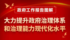 大力提升政府治理体系和治理能力现代化水平