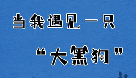 【长图】当我遇见一只“大黑狗”