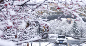 吉林多地迎来降温降雪