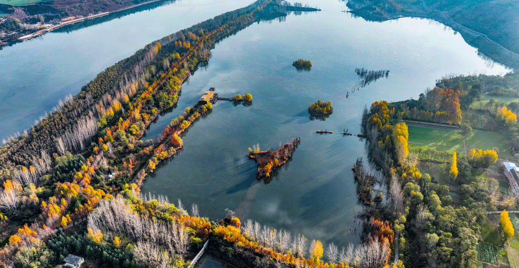 河南济源：黄河湿地冬景如画