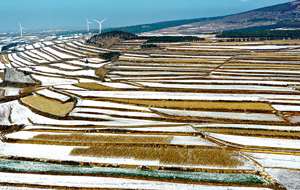 雪后平陆万亩梯田景美如画