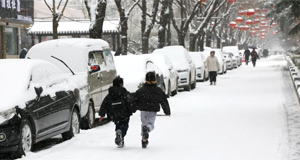 龙年春雪景色美