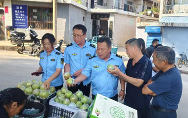 党建赋能文旅产业“出圈出彩”
