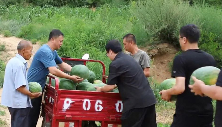 汾西县佃坪乡西瓜种植有甜头 群众致富有奔头